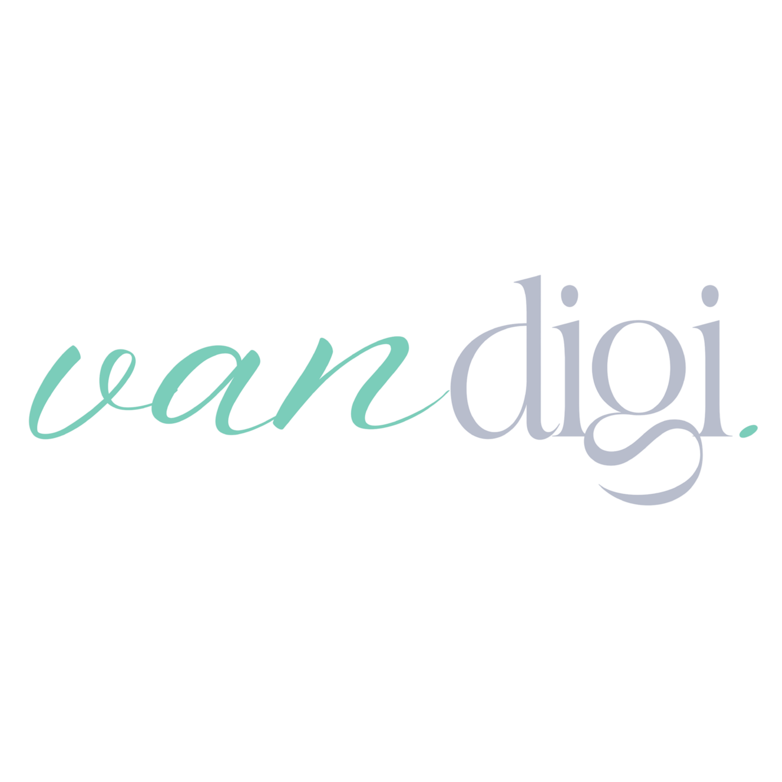 Website Laten Maken Zuid-Frankrijk | Meertalig | VANDIGI