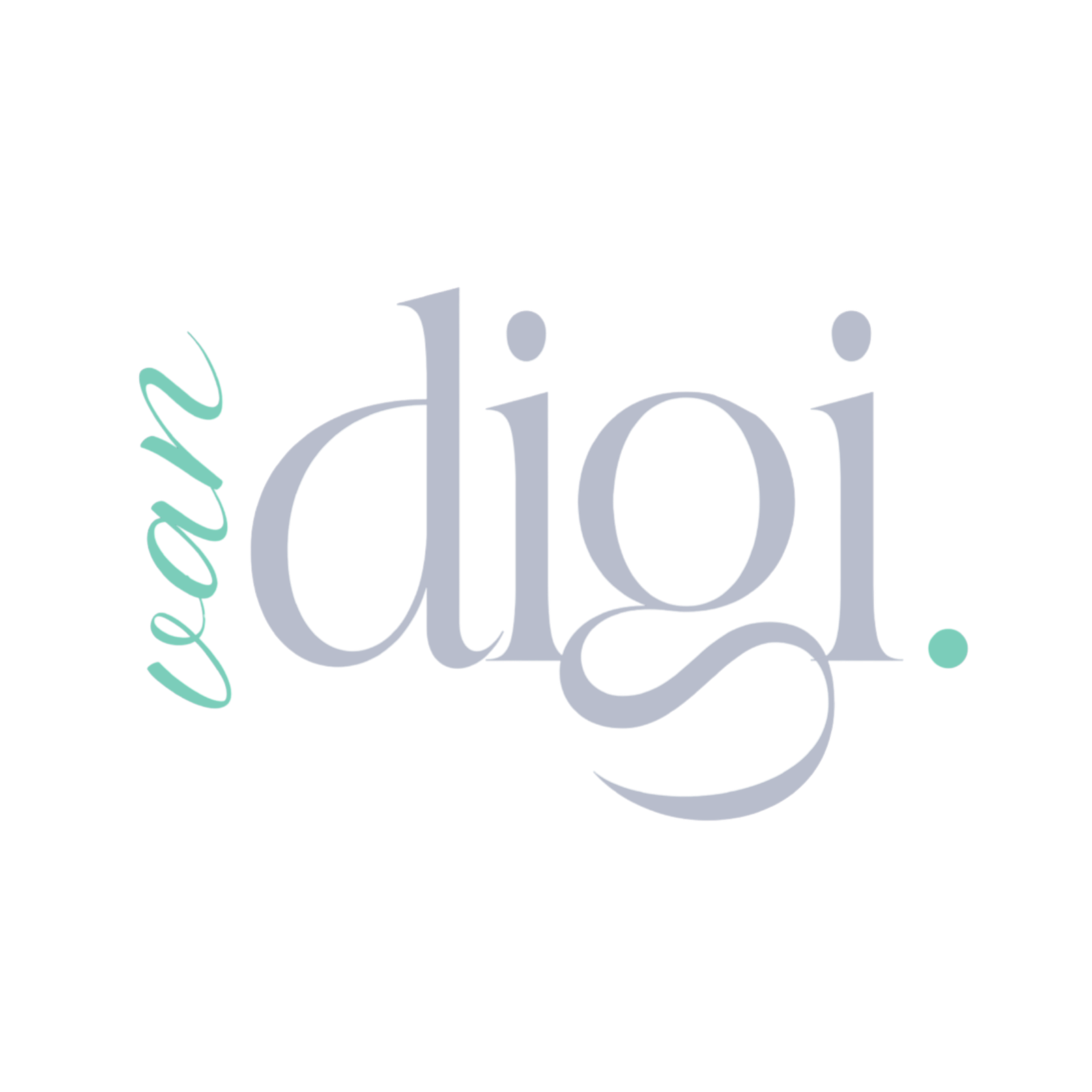 Vandigi webdesign in Frankrijk || LOGO